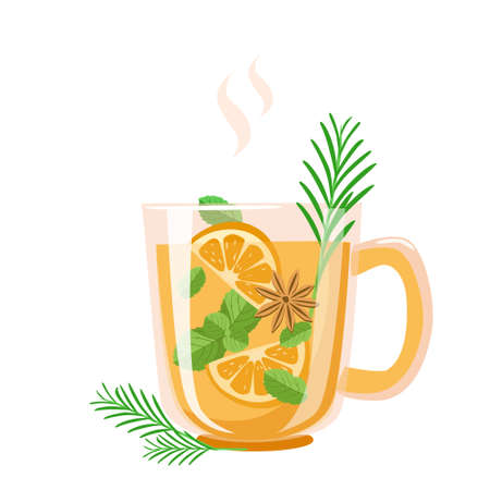Vitamin tea made from mint, orange, star anise and rosemary. Hot winter drinks. Vector illustration isolated on a white backgroundのイラスト素材
