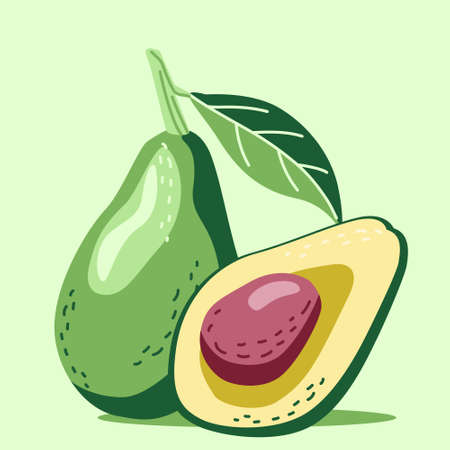 Avocado whole and half with a bone in a hand-drawn style. Vector illustration isolated on a green background for print and postcardのイラスト素材