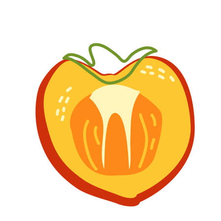 Half a ripe orange persimmon for a healthy diet. Vector isolated illustration on a white backgroundのイラスト素材