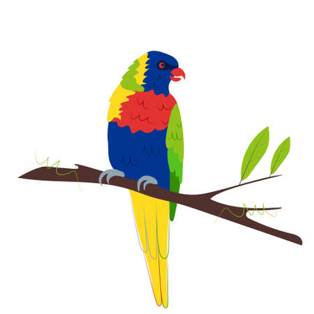 Rainbow Lorikeet is sitting on a branch. An exotic parrot bird. Vector illustration in a hand-drawn style isolated on a white backgroundのイラスト素材