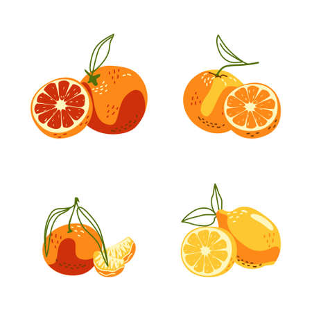 Vector set of citrus fruits. Orange, tangerine, grapefruit, lemon. Isolates on a white background in a hand-drawn style for decorationのイラスト素材
