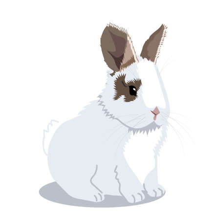 Cute fluffy rabbit is sitting. Pets. Vector illustration in cartoon style on a white backgroundのイラスト素材