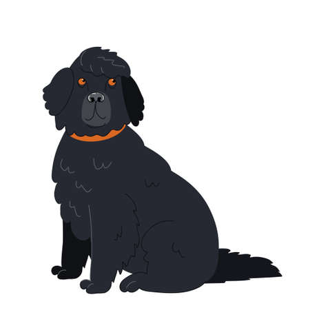 Cute black Newfoundland dog sits and looks up. Favorite pets. Vector Hand drawn illustration on white backgroundのイラスト素材