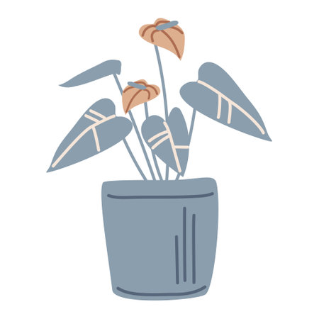 Anthurium is a homemade flower in a pot. Vector illustration in hand-drawn style, isolated on a white backgroundのイラスト素材