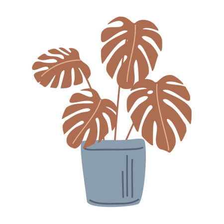 Monstera is a homemade flower in a pot. Vector illustration in hand-drawn style, isolated on a white background for postcards, decor, printのイラスト素材