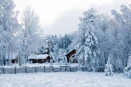 Winter landscape. wood small house in snow woodの写真素材