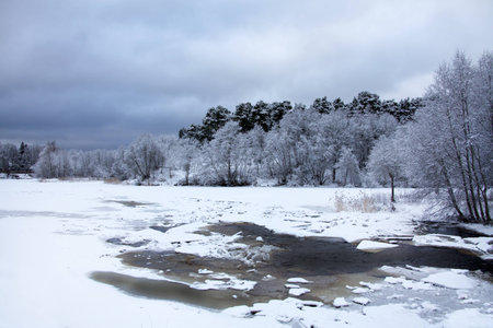 Winter landscape. Winter wood and lake covered with iceの写真素材