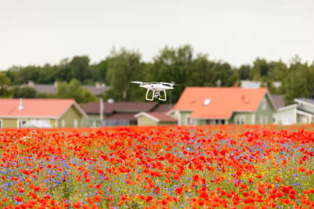 Kose-Uuemoisa, Estonia - July 9, 2017: Drone DJI Phantom 4 flying under poppy fieldのeditorial素材