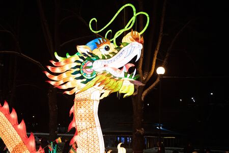 TALLINN, ESTONIA - January 26, 2019: Lightful statues for celebrating the Chinese Lantern Festival on January 26, 2019 at the Kaarli Park in Tallinn, Estonia.のeditorial素材