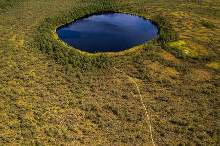 forest lake and swamps. aerial view