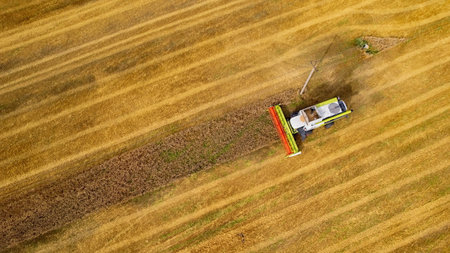 aerial view of combine harvester at work. harvesting from field