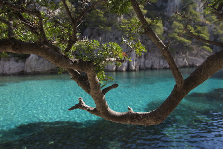 Clear blue waters in Calanques near Cassisの写真素材