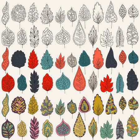set of leaves, outline, colors and milticolors variants. Isolated on white background for seasonal design Collection of hand-drawn leaves on a white backdrop.のイラスト素材