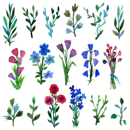 Watercolor vector set with leaves and flowers. Hand drawn plant. Spring or summer design for invitation and greeting cards.のイラスト素材