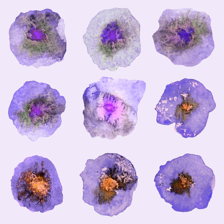 Set of Watercolor Flower.のイラスト素材