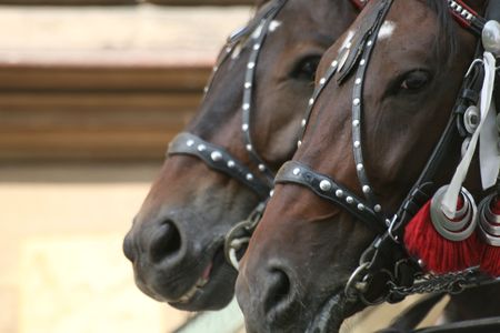 brothers in armsの写真素材