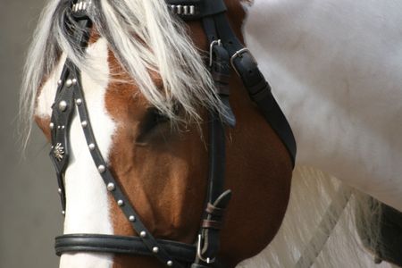 watchingの写真素材