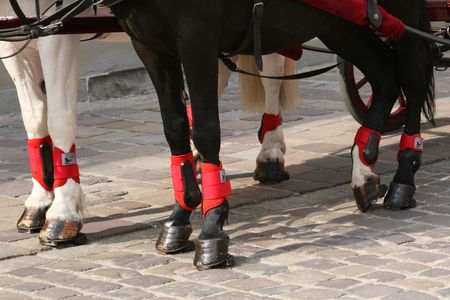 securedの写真素材