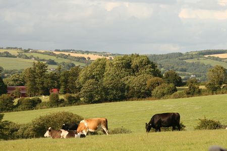 irish farmlandの写真素材