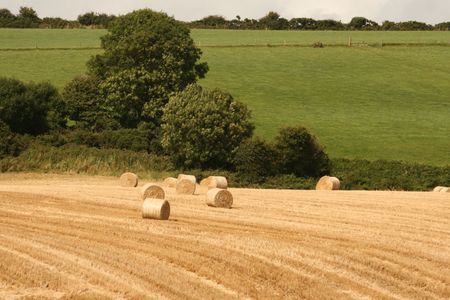 irish scenery in harvest time