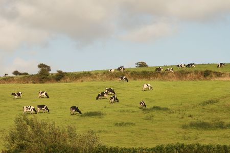 irish farm hillsの写真素材