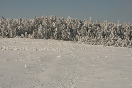 winter sceneryの写真素材