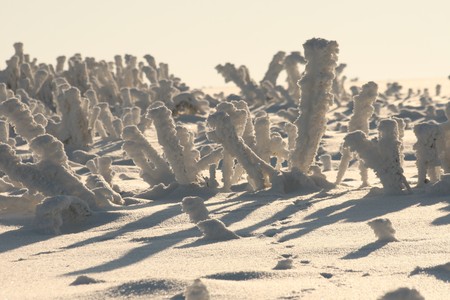 winter abstractの写真素材