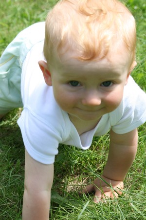 crawlの写真素材