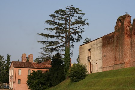 Medieval Citadel Tower, Castelfranco Veneto, Italyの写真素材