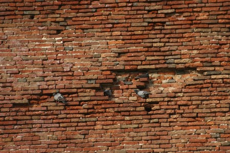 Texture of the medieval wall, Castelfranco Veneto, Italyの写真素材