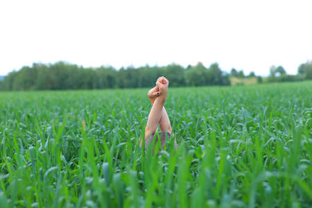 Childs hands peeking out of grass in a summer fieldの写真素材