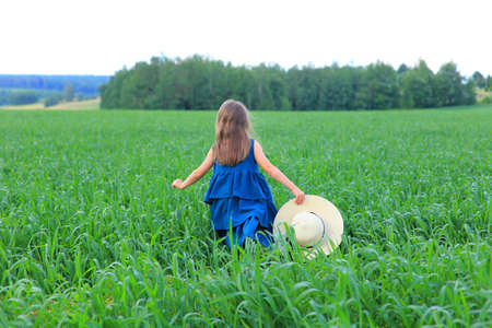 Beautiful little girl runs in the summer fieldの写真素材