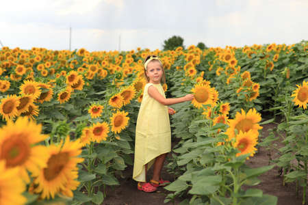 Beautiful girl in a yellow dress in a field with sunflowersの写真素材