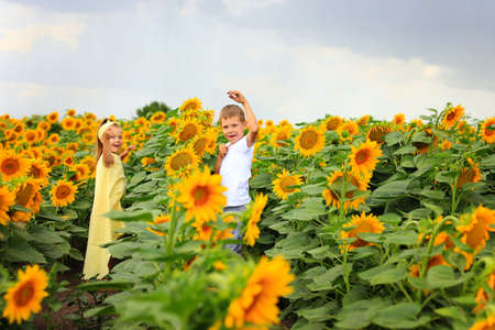 Two children are in the field with sunflowersの写真素材