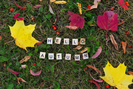 An inscription of letters is made on the autumn grass.