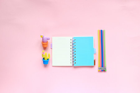 Items for drawing on a pink background. Layout from the sketching kit. Notepad, eraser and pencils on a pink background. View from aboveの写真素材