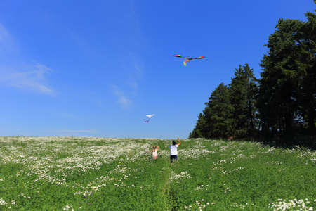 Two children in a chamomile field fly a kite in the sky. Children playing on the field against the blue sky in summerの写真素材