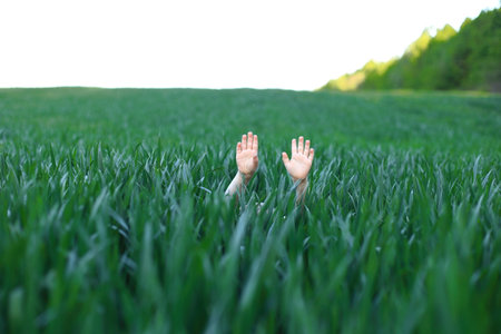 A young girl standing in a field of tall, lush green grass. She is energetically waving her hands,...