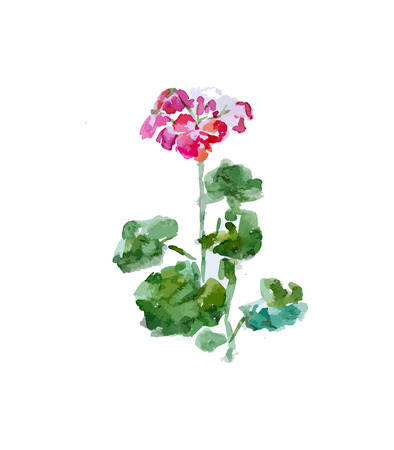 Flower, vector illustration for your designのイラスト素材