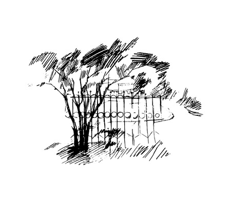 Trees, vector illustrationのイラスト素材