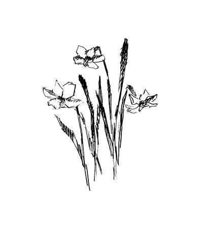 Flowers, vector illustrationのイラスト素材