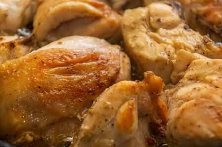 Fried chicken. Roast chicken. Golden pieces of fried meat. Tobacco Chicken. Roast game. fatty product. many calories.の写真素材