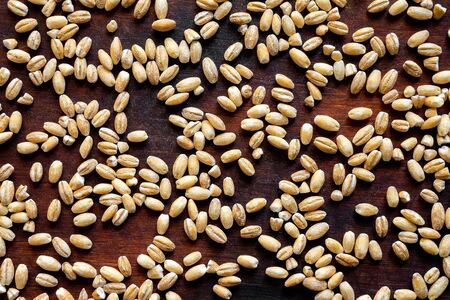 Grains of wheat on a dark wooden plane top view. Spilled grain on a plank close-upの写真素材