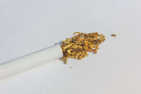 Tobacco from a cigarette close-up on a white background