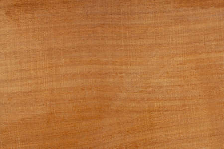 dark brown plywood texture even lighting top viewの写真素材