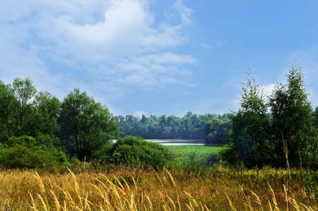 Summer landscape nature russia field forest lake body of water pond sky