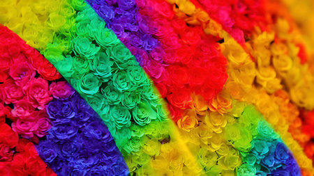 Rainbow flowers, macro photography, illustrationの写真素材