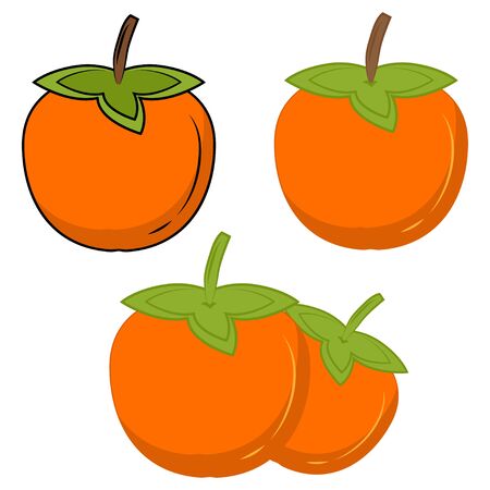 Persimmon color vector icon. Orange kaki fruit icon. Persimmon symbol. A flat vector simple element of sharon illustration, isolated on white background. Vectorのイラスト素材