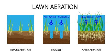 Lawn aeration. Process of aeration before and after, lawn grass care service, gardening and landscape design. Gardening grass lawn care, landscaping service. Vectorのイラスト素材