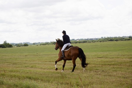 Horse ride in the meadow: alone rider in the saddleの写真素材